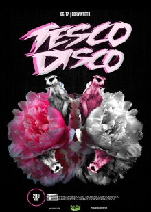 Tesco Disco flyer